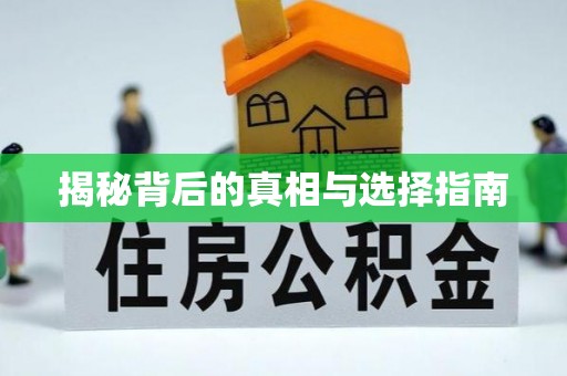 铁山港揭秘背后的真相与选择指南