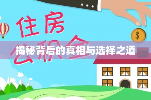 铁山港揭秘背后的真相与选择之道