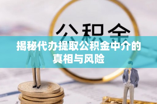铁山港揭秘代办提取公积金中介的真相与风险