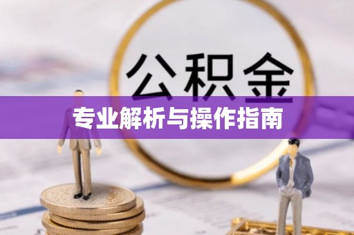 铁山港专业解析与操作指南