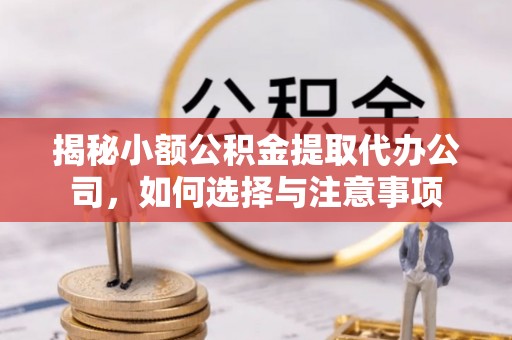 铁山港揭秘小额公积金提取代办公司，如何选择与注意事项