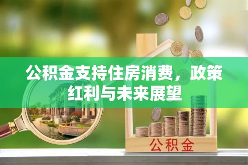 铁山港公积金支持住房消费，政策红利与未来展望