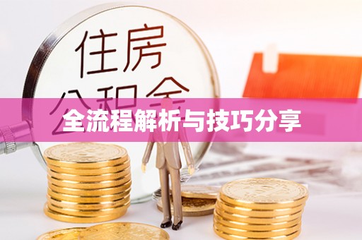 铁山港全流程解析与技巧分享